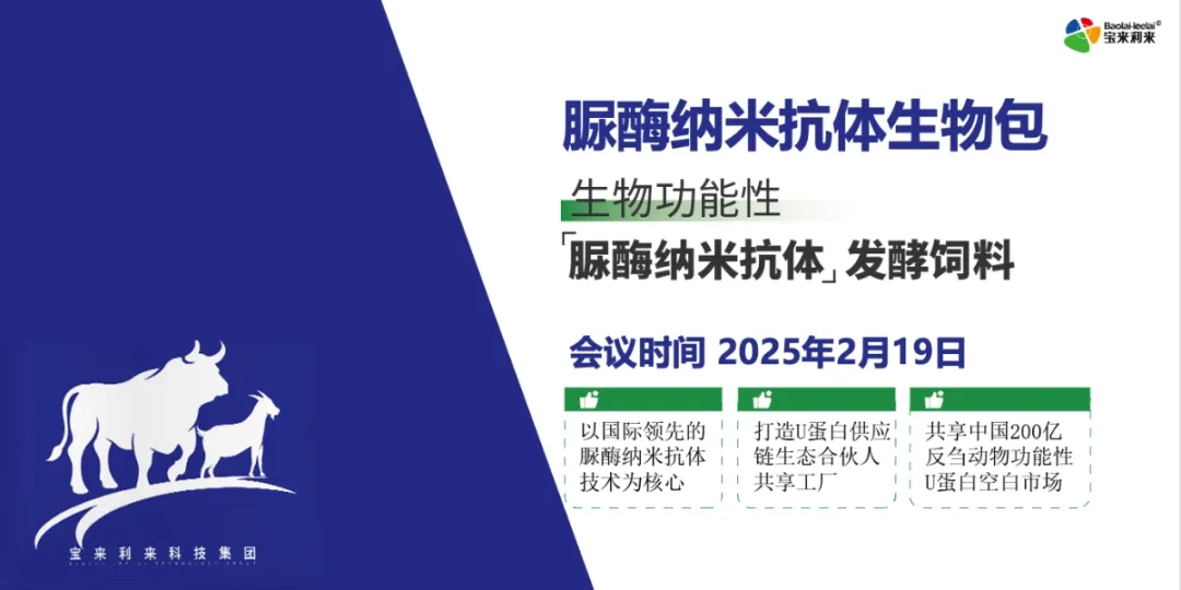 3.webp (2).jpg 3.webp (2).jpg