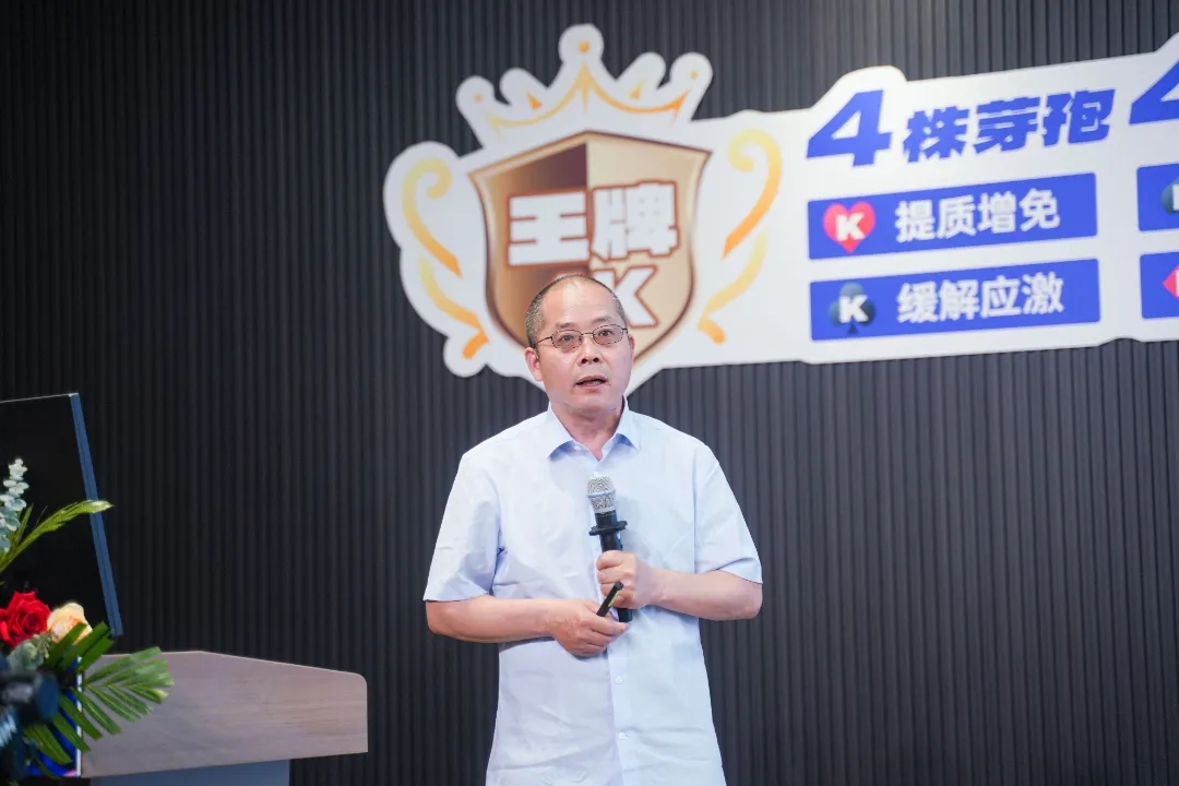 3.webp (2).jpg 3.webp (2).jpg