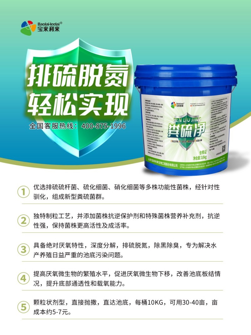 c521562c356ed7b2