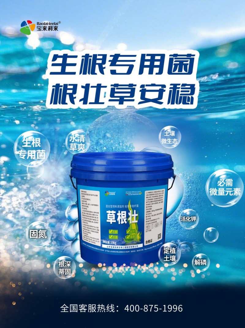 c541cb6fe029716a