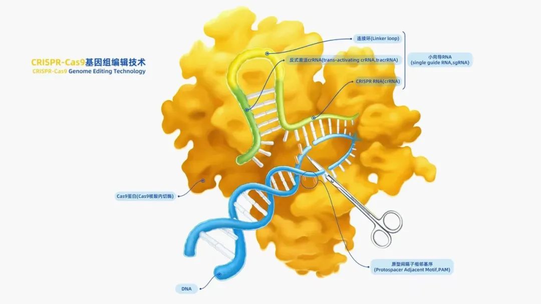 0?wx_fmt=jpeg&from=appmsg 图片