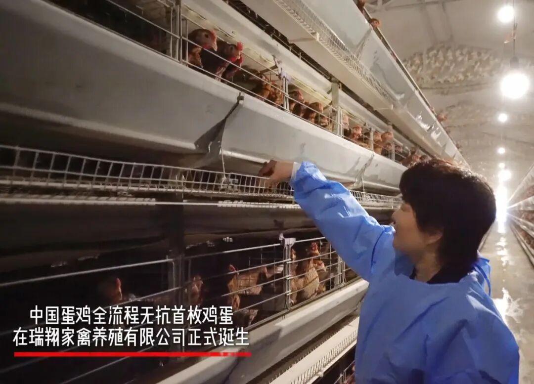 中国·37000威尼斯(股份)有限公司-官方网站